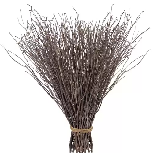 60Pcs Real Dried Birch Twigs Plants Branches - 17” Natural Autumn Decorative Birch Branches for Vases, Birch Sticks for DIY, Centerpiece, Floral Arrangment, Twig Wreath, Rustic Home Decor