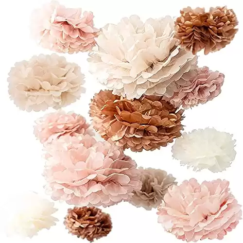 Vidal Crafts 20 Pcs Party Tissue Paper Pom Poms Set - Blush Pink Tissue Paper Flowers Decorations, Boho Birthday Party, Bachelorette, Bridal Shower Decorations, Wedding, Baby Shower Decor, 6" to ...