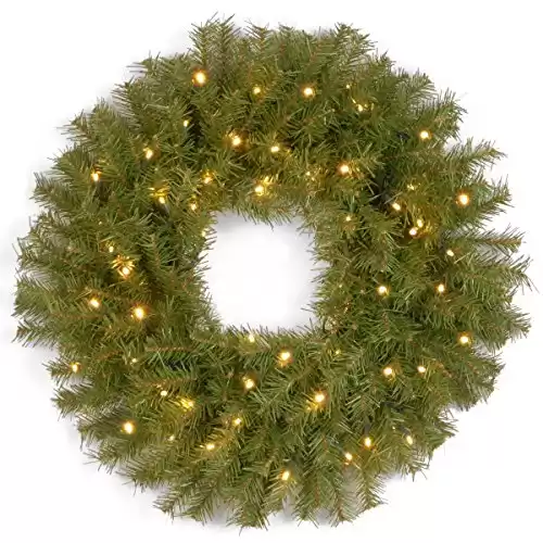 National Tree Company Pre-Lit Artificial Christmas Wreath, Green, Norwood Fir, Dual Color LED Lights, Christmas Collection, 24 Inches