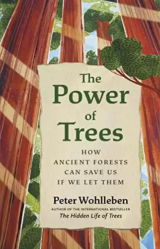 The Power of Trees: How Ancient Forests Can Save Us if We Let Them (From the Author of The Hidden Life of Trees)
