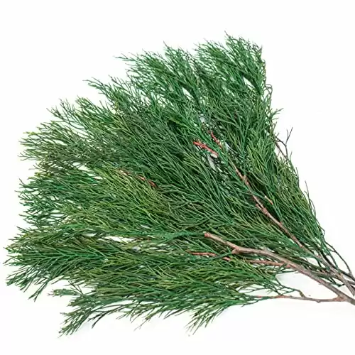 Tavkite 4OZ Preserved Real Pine Leaves Branches -17'' Natural Greenery Plants Pine Twigs Stems Pine Needles Evergreen Picks for Garland Wreath Xmas Wedding Home Party Decor Indoor Outdoor De...