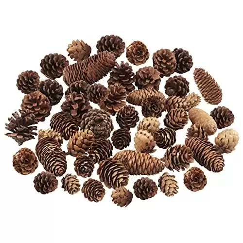 40 PCS Pine Cones Decorations, Natural Pine Cones Bulk Package - Large Medium and Mini Size Rustic Pine Cone Ornaments for Table Christmas Tree Crafts Gifts Halloween Thanksgiving Xmas Home Decor